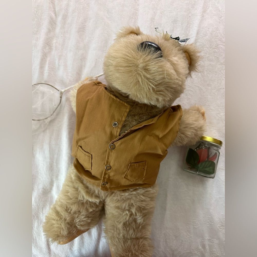 Plush Bear with Hat and Vest Butterfly Collector Bees Vintage - Picture 6 of 11